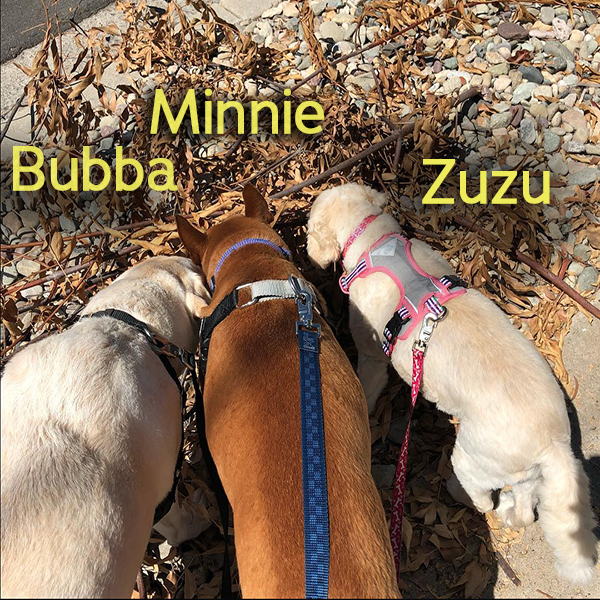 Bubba Minnie Zuzu