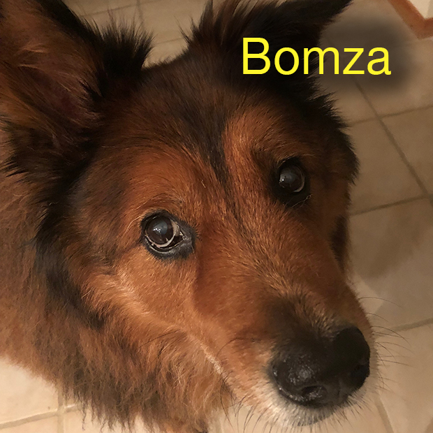 Bomza