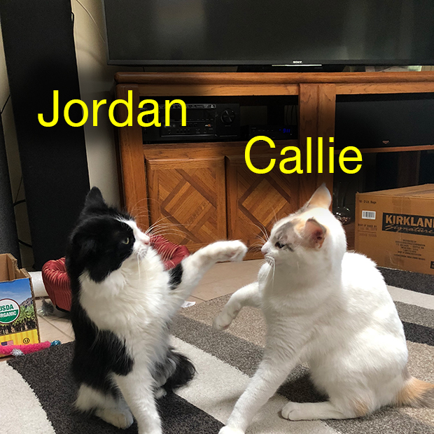 Jordan & Callie