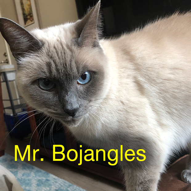 Mr Bojangles