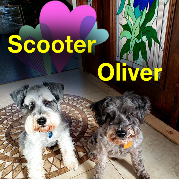 Scooter:Oliver